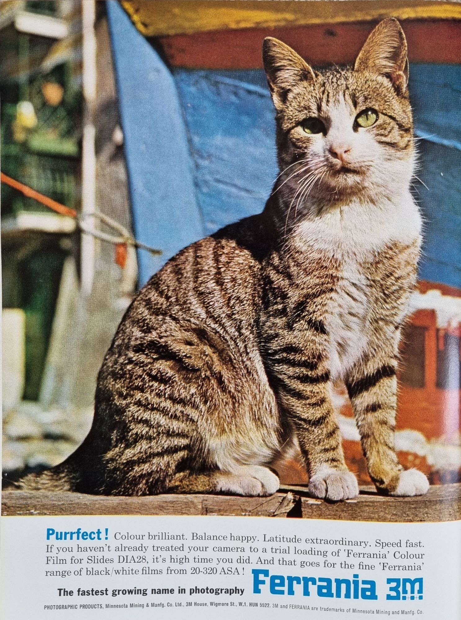 Photography 1967 – Pressphotoman